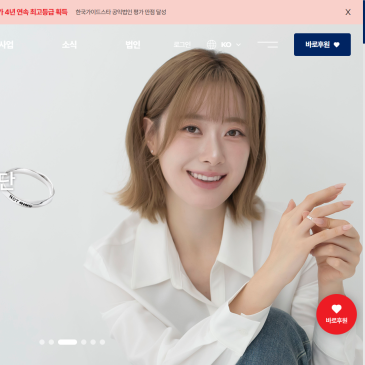 대한사회복지회 공식 웹사이트 구축 사례
